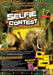 Ayo Ikutan Selfie Contest di "Rahmat" Museum & Gallery dan Menangin Hadiah nya!!!